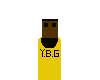 Tyler Image